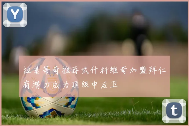 拉基蒂奇推荐武什科维奇加盟拜仁有潜力成为顶级中后卫
