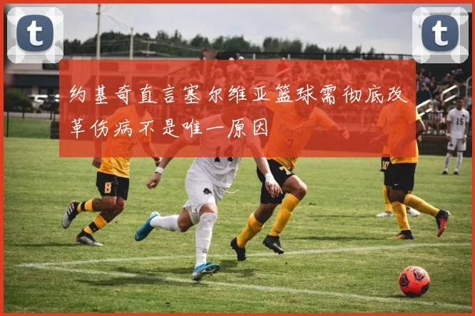 约基奇直言塞尔维亚篮球需彻底改革伤病不是唯一原因