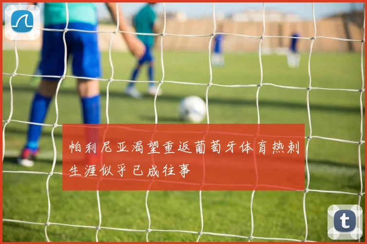 帕利尼亚渴望重返葡萄牙体育热刺生涯似乎已成往事