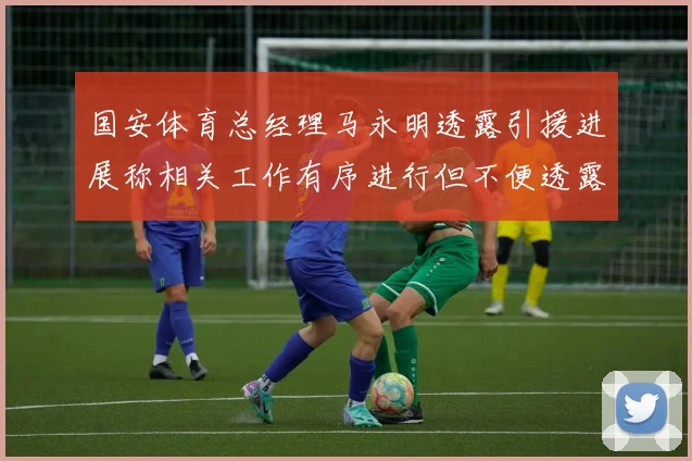 国安体育总经理马永明透露引援进展称相关工作有序进行但不便透露名字